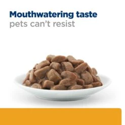 Hill's C/d Multicare - Prescription Diet - Feline - Meal Pouch -Supplies Store 06lFmSYo5W6FU9xCwnsf3isckT5iRc metaNTI3NDIxMTg4MTlfNF9FTi5qcGc
