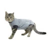 Buster Bodysuit Classic Cat -Supplies Store 132ab24e778591cb8cc80af258d06d5bba7c8d66e303a16ea32b511a33f5ab45 4
