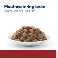 Hill's I/d Digestive Care - Prescription Diet - Feline - Meal Pouch -Supplies Store 1p8MbWputkZ1ELtTNWznpCvoJY9sBo metaNTI3NDIwNDAyNTdfNF9FTi5qcGc