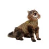 Medical Pet Shirt Cat - Leopard Print 2 Medical Pet Shirt Cat - Leopard Print -Supplies Store 25dda8affeb3ea5d3aea6c6d840a6ed3d43851b35010ff44f53c8482821c4cb0 4
