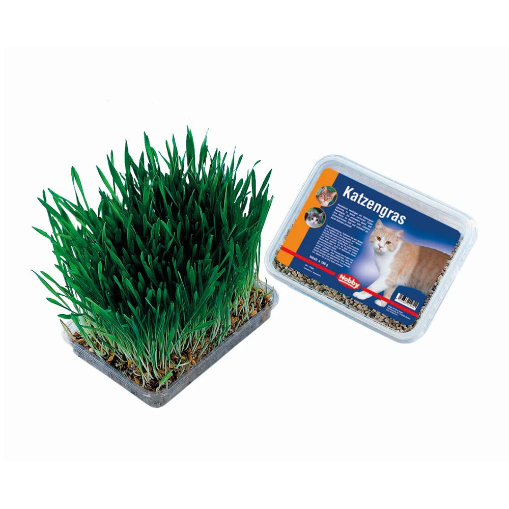 Applaws Nobby Cat Grass 4 Applaws Nobby Cat Grass - Image 2