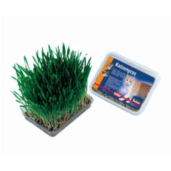 Applaws Nobby Cat Grass