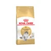 Royal Canin Norwegian Forest Cat Adult - Cat Food -Supplies Store 51438d9d1f75bfadd6ed412dbe0a288cfd742c51678feafc025527957f07f8a4 4