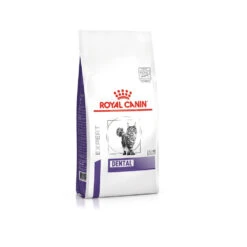 Royal Canin Dental Cat -Supplies Store 52ULA5bPKYm7E7vKskIM5ONPqO8zzC metaUm95YWwtQ2FuaW4tRGVudGFsLWNhdC5qcGc 1 1