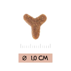 Vetality Gastrointestinal - Cat Food 10 Vetality Gastrointestinal - Cat Food -Supplies Store 6eKOx9AuqbY3RKu5wb0zWgiQQvIXFE metaZ2FzdHJvaW50ZXN0aW5hbC1LYXQtQnJva2plWzFdLnBuZw