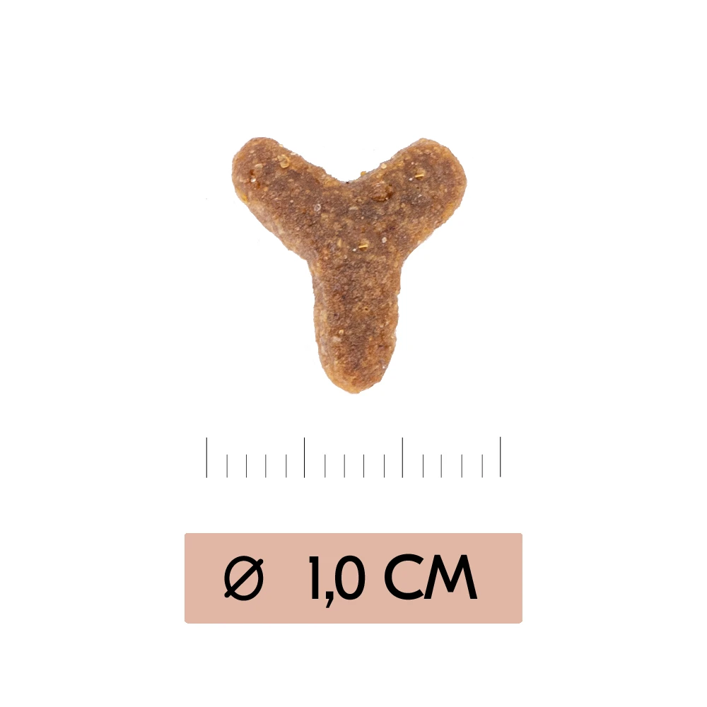 Vetality Gastrointestinal - Cat Food 6 Vetality Gastrointestinal - Cat Food - Image 4