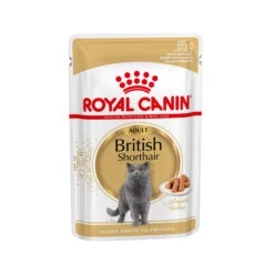 Royal Canin British Shorthair Adult Wet - Cat Food