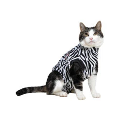 Medical Pet Shirt Cat - Zebra