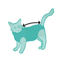 Suitical Recovery Suit For Cats -Supplies Store DyRL8fhSRm4Wf5AgwbiqB50D0Rd4rc metac3VpdGljYWxfcmVjb3Zlcnlfc3VpdF9rYXRfMjAyNTIzXzA1MDBfbm9uZS5qcGc