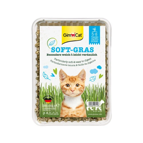GimCat Cat Grass 5 GimCat Cat Grass - Image 3