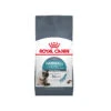 Royal Canin Hairball Care - Cat Food -Supplies Store MdJ3WfW482hXmSVbZqbhXas1So4s1i metaUkMtQ2FyZS1OdXRyaXRpb24tSGFpcmJhbGwtQ2FyZS02LmpwZw
