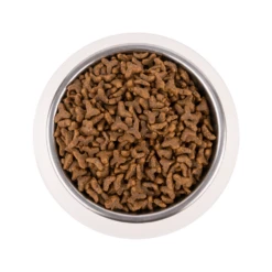 Vetality Gastrointestinal - Cat Food 9 Vetality Gastrointestinal - Cat Food -Supplies Store S5F30n8TzXKWRCr7n8rc2z8NAOq8n1 metaR2FzdHJvaW50ZXN0aW5hbC1LYXQtQmFramVbMl0ucG5n