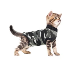 Suitical Recovery Suit For Cats -Supplies Store SNyOys2O60K2N2lz2nc3BSwy6hrDp9 metac3VpdGljYWxfcmVjb3Zlcnlfc3VpdF9rYXRfMjAyNTIwXzA1MDBfbm9uZS5qcGc