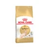 Royal Canin Sphynx Adult - Cat Food -Supplies Store afae6edfd128b63affcc754dbe6116c9125f256985632b07ac24133354b870a8 4
