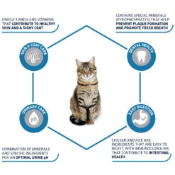 Affinity Advance Adult Chicken And Rice - Cat -Supplies Store affinity advance adult kip en rijst kat 178249 1500 none