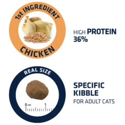 Affinity Advance Adult Chicken And Rice - Cat -Supplies Store affinity advance adult kip en rijst kat 178252 1500 none