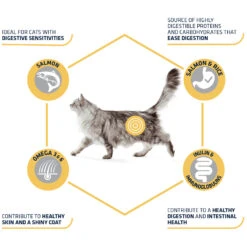 Affinity Advance Adult Salmon Sensitive - Cat 12 Affinity Advance Adult Salmon Sensitive - Cat -Supplies Store affinity advance adult salmon sensitive kat 178666 1500 none