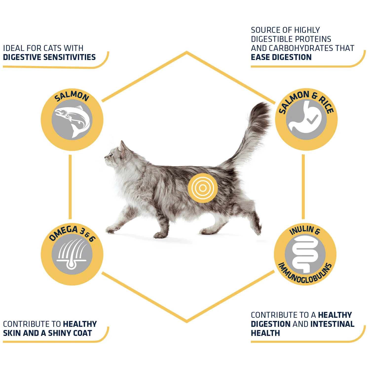 Affinity Advance Adult Salmon Sensitive - Cat 6 Affinity Advance Adult Salmon Sensitive - Cat - Image 4