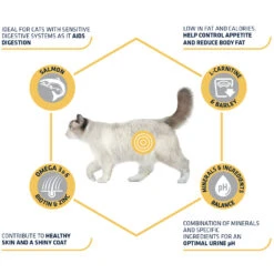 Affinity Advance Sterilized Salmon Sensitive - Cat 15 Affinity Advance Sterilized Salmon Sensitive - Cat -Supplies Store affinity advance sterilized salmon sensitive kat 178282 1500 none