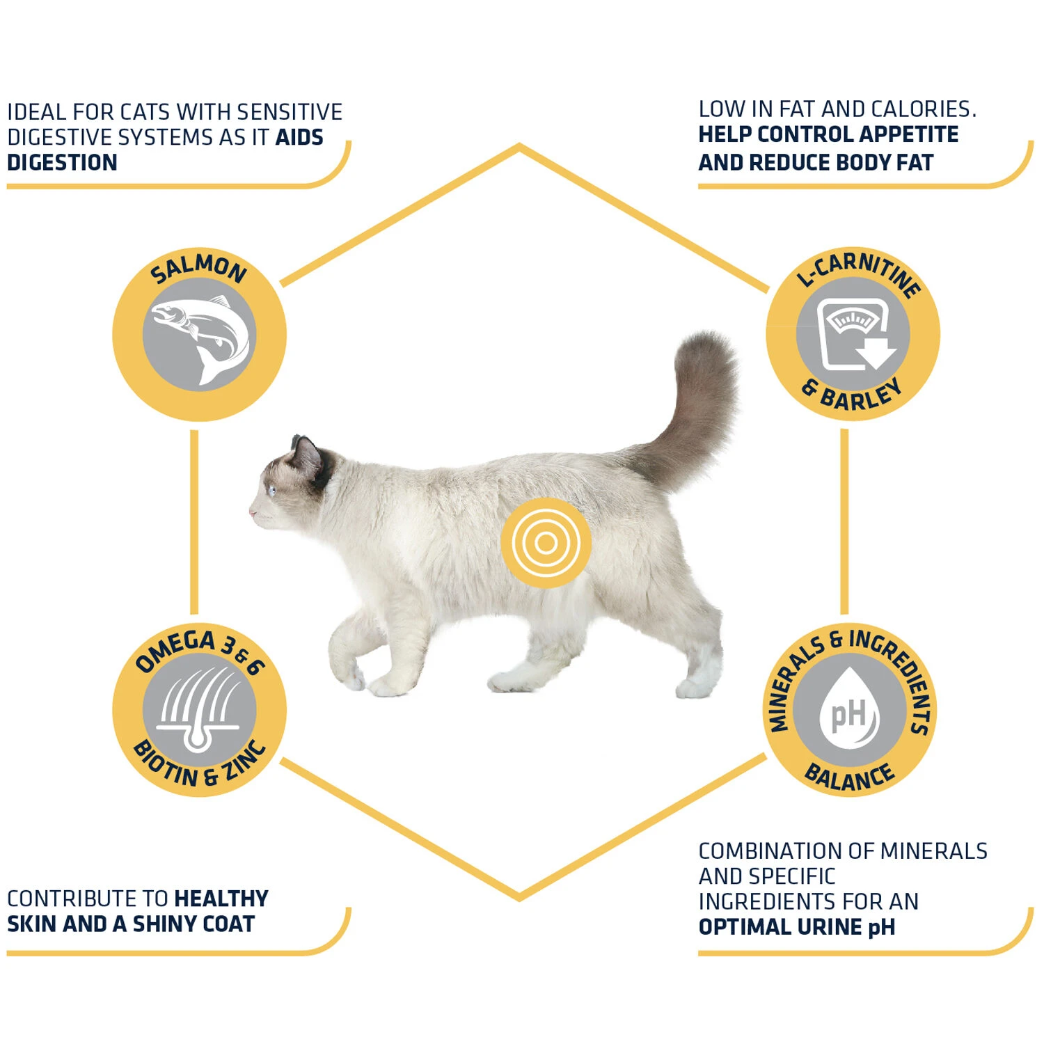 Affinity Advance Sterilized Salmon Sensitive - Cat 6 Affinity Advance Sterilized Salmon Sensitive - Cat - Image 4