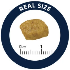 Affinity Advance Veterinary Diets Renal Cat -Supplies Store affinity advance veterinary diets renal kat 176890 0500 none