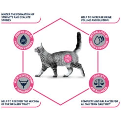 Affinity Advance Veterinary Diets Urinary Cat 11 Affinity Advance Veterinary Diets Urinary Cat -Supplies Store affinity advance veterinary diets urinary kat 176905 1500 none