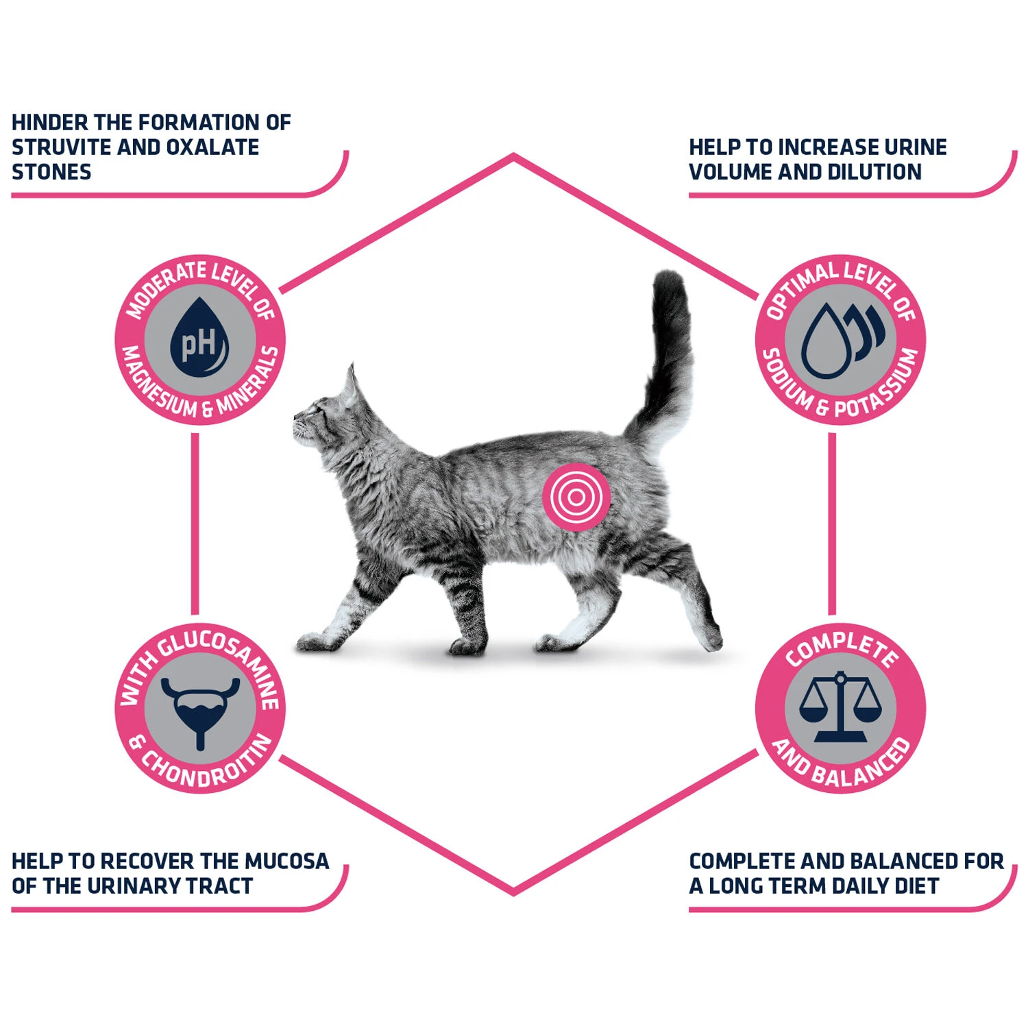 Affinity Advance Veterinary Diets Urinary Cat 5 Affinity Advance Veterinary Diets Urinary Cat - Image 3