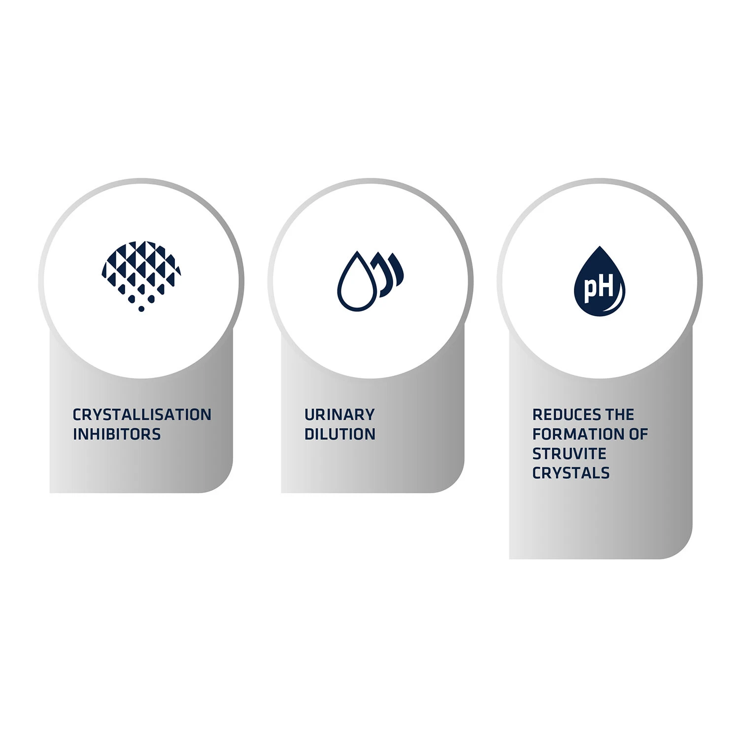 Affinity Advance Veterinary Diets Urinary Cat 6 Affinity Advance Veterinary Diets Urinary Cat - Image 4