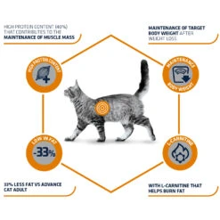 Affinity Advance Veterinary Diets Weight Balance Cat -Supplies Store affinity advance veterinary diets weight balance kat 178093 1500 none