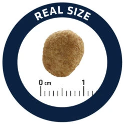 Affinity Advance Veterinary Diets Weight Balance Cat -Supplies Store affinity advance veterinary diets weight balance kat 178099 0500 none