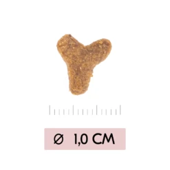 Vetality Skin Support - Cat Food -Supplies Store b95mZaV7bUBPFZi0Nvkwm97vGh5kkX metaU2tpbi1zdXBwb3J0LWthdC1icm9ramVbMV0ucG5n