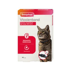 Beaphar Flea Collar For Cats - 6 Months -Supplies Store beaphar vlooienband kat 6 maanden 182311 1000 none
