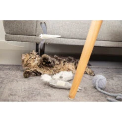 ROYAL CANIN Beeztees Kitten Ball + Cord -Supplies Store beeztees kitten bal koord 195569 1000 none