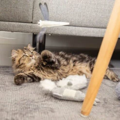 ROYAL CANIN Beeztees Kitten Rabbit -Supplies Store beeztees kitten konijn 195584 1000 none