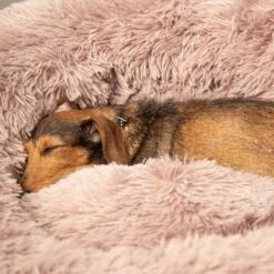 Beeztees Yali Plush Donut Bed 15 Beeztees Yali Plush Donut Bed -Supplies Store beeztees yali pluche donutmand 216351 1000 none