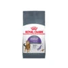 Royal Canin Appetite Control Sterilised - Cat Food -Supplies Store c7HWJf7E71HmIkZPUf0yG0ZBlLMfea metaUkMtQ2FyZS1OdXRyaXRpb24tQXBwZXRpdGUtQ29udHJvbC0yLmpwZw