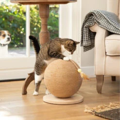 Designed By Lotte Scratching Ball Balty -Supplies Store designed by lotte krabbol balty 164809 2000 none