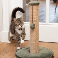 Designed By Lotte Scratching Post Yenna -Supplies Store designed by lotte krabpaal yenna 164437 2000 none