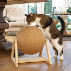 Designed By Lotte Scratching Globe Xem -Supplies Store designed by lotte xem krabbol 164833 2000 none