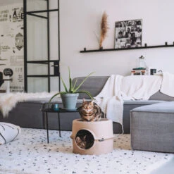 District 70 Bunker -Supplies Store district 70 bunker 190954 0500 none