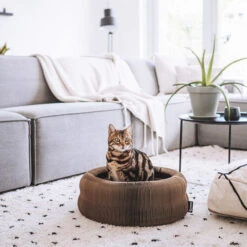 District 70 Maze -Supplies Store district 70 maze 190927 0500 none