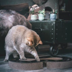 District 70 Snake -Supplies Store district 70 snake kattenspeelgoed 190421 2000 none