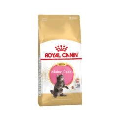 Royal Canin Maine Coon Kitten - Cat Food