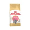 Royal Canin British Shorthair Kitten - Cat Food -Supplies Store ecb42d37b67ee17ff3ef4fd8fcd78daeb35af0dd4ec8f28792f68c1faa91a350 4