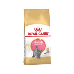 Royal Canin British Shorthair Kitten - Cat Food
