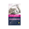 Eukanuba Kitten Healthy Start -Supplies Store eukanuba kitten healthy start 197471 2000 none