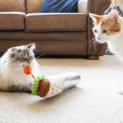 P.L.A.Y. Pet Feline Frenzy Catnip Kicker - Shrimp Purrito -Supplies Store feline frenzy catnip kicker shrimp purrito 198401 1500 none