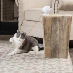 Frolicat Dancing Dot -Supplies Store frolicat dancing dot 184735 1000 none