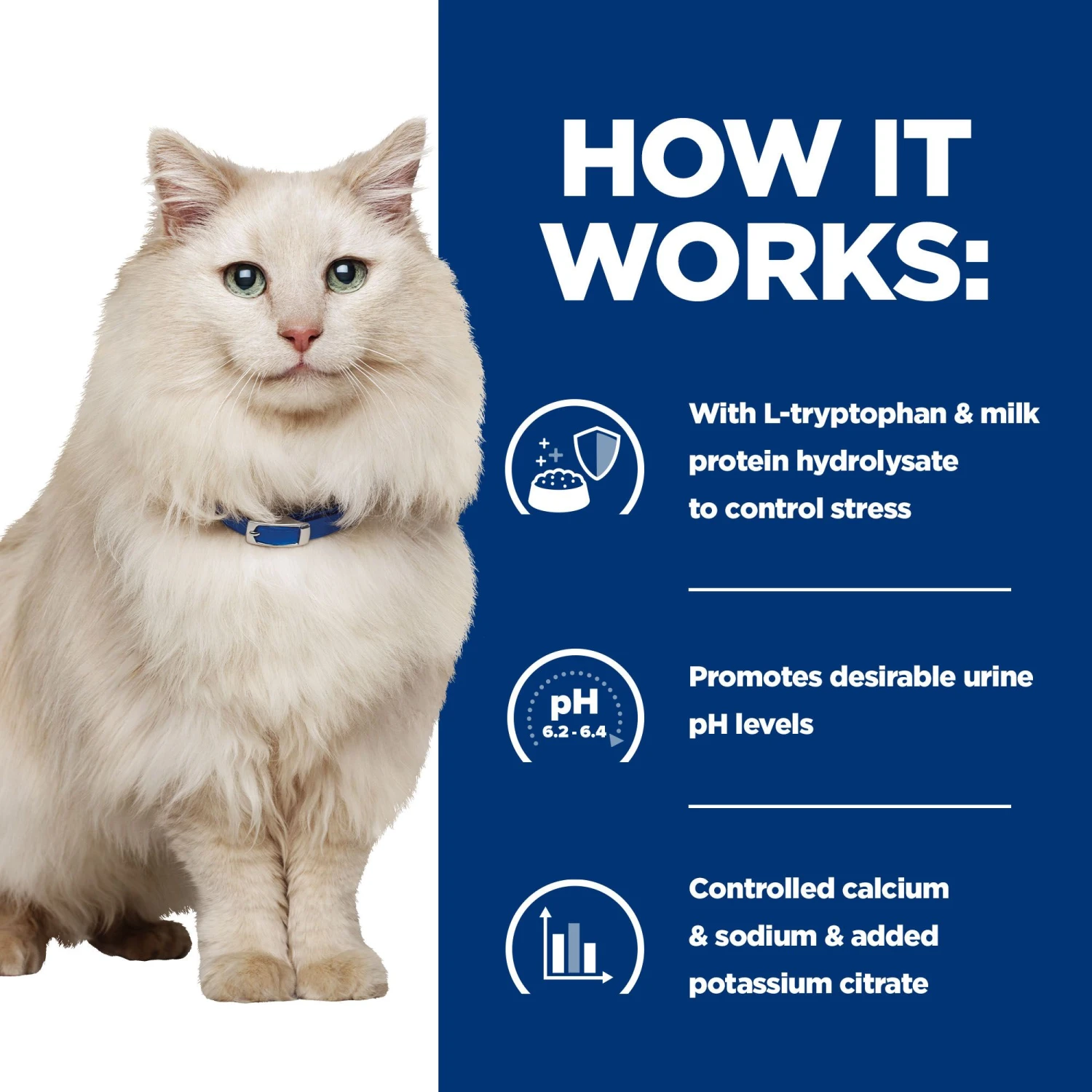 Hill's C/d Urinary Care - Urinary Stress - Prescription Diet - Feline 6 Hill's C/d Urinary Care - Urinary Stress - Prescription Diet - Feline - Image 4