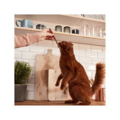 GimCat Superfood Duo-Sticks -Supplies Store gimcat superfood duo sticks 158297 2000 none